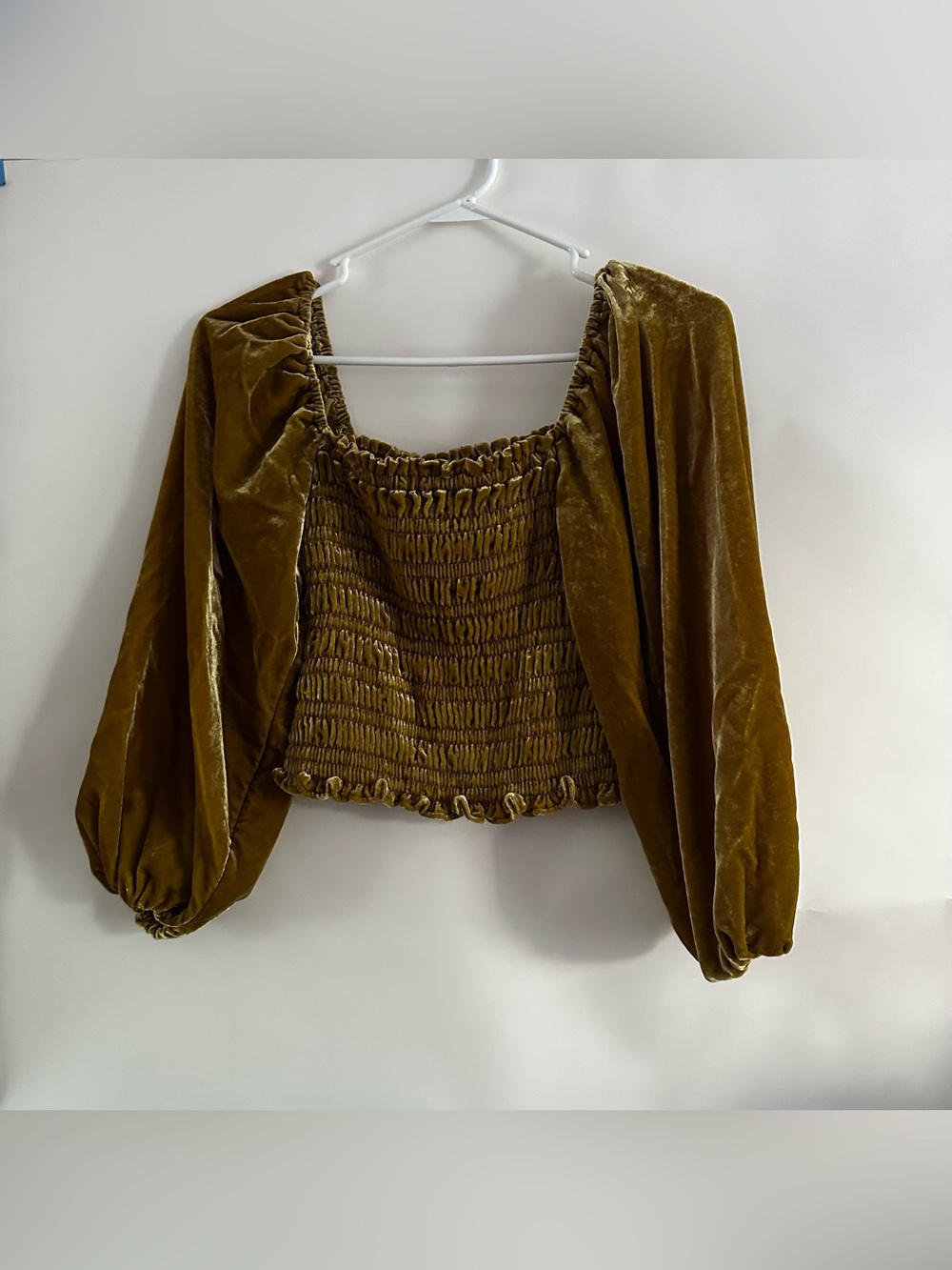 By Anthropologie Velvet Smocked Balloon Sleeve Crop Top
